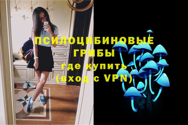 дурь Алексин