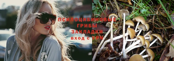 дурь Алексин