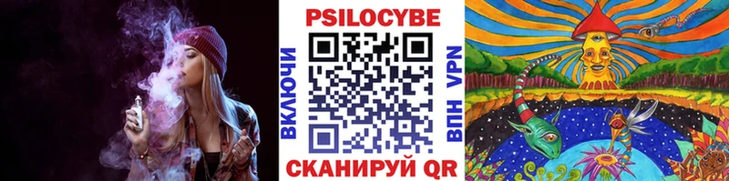 Псилоцибиновые грибы мухоморы  закладки  Ахтубинск 